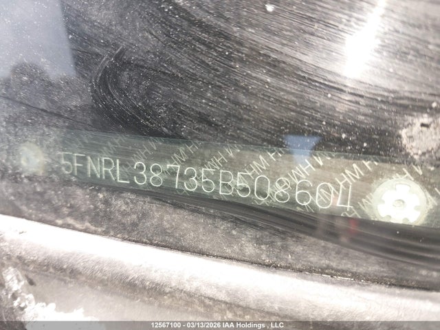 Продаж на аукціоні авто 2005 Honda Odyssey Ex-l, vin: 5FNRL38735B508604, номер лоту: 12567100