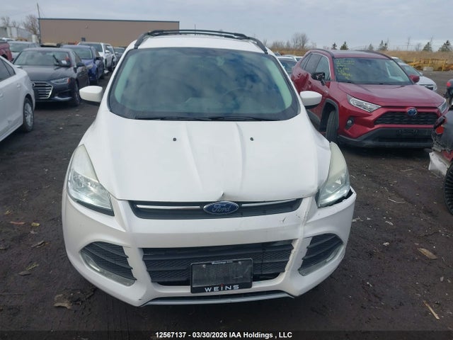 Aukcja sprzedaży 2014 Ford Escape Se, vin: 1FMCU0GX4EUD39554, numer aukcji: 12567137