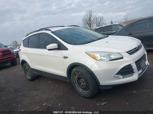 Aukcja sprzedaży 2014 Ford Escape Se, vin: 1FMCU0GX4EUD39554, numer aukcji: 12567137