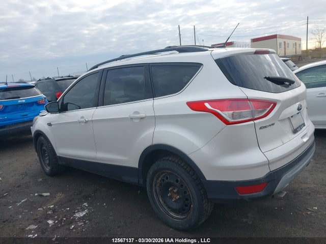Aukcja sprzedaży 2014 Ford Escape Se, vin: 1FMCU0GX4EUD39554, numer aukcji: 12567137