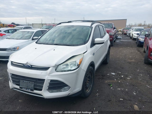 Aukcja sprzedaży 2014 Ford Escape Se, vin: 1FMCU0GX4EUD39554, numer aukcji: 12567137
