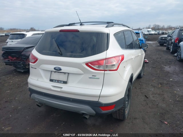 Aukcja sprzedaży 2014 Ford Escape Se, vin: 1FMCU0GX4EUD39554, numer aukcji: 12567137