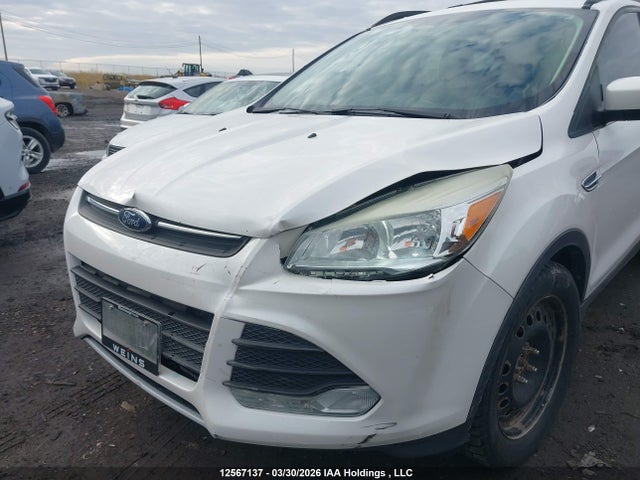 Aukcja sprzedaży 2014 Ford Escape Se, vin: 1FMCU0GX4EUD39554, numer aukcji: 12567137