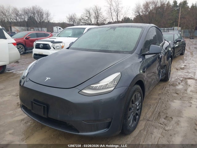Aukcja sprzedaży 2023 Tesla Model Y Long Range, vin: 7SAYGDEE2PF584300, numer aukcji: 12567238