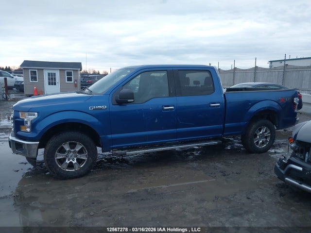 Продаж на аукціоні авто 2017 Ford F150 Supercrew, vin: 1FTFW1EF0HFB95456, номер лоту: 12567278