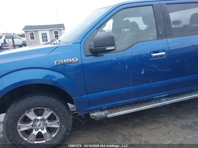Продаж на аукціоні авто 2017 Ford F150 Supercrew, vin: 1FTFW1EF0HFB95456, номер лоту: 12567278