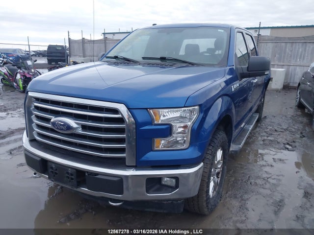 Продаж на аукціоні авто 2017 Ford F150 Supercrew, vin: 1FTFW1EF0HFB95456, номер лоту: 12567278