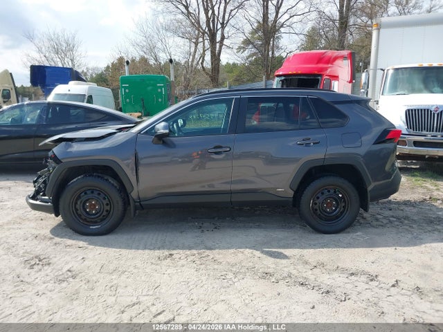2024 Toyota Rav4 Hybrid Le მანქანა იყიდება აუქციონზე, vin: 2T3BWRFV2RW245633, აუქციონის ნომერი: 12567289