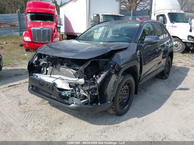 2024 Toyota Rav4 Hybrid Le მანქანა იყიდება აუქციონზე, vin: 2T3BWRFV2RW245633, აუქციონის ნომერი: 12567289