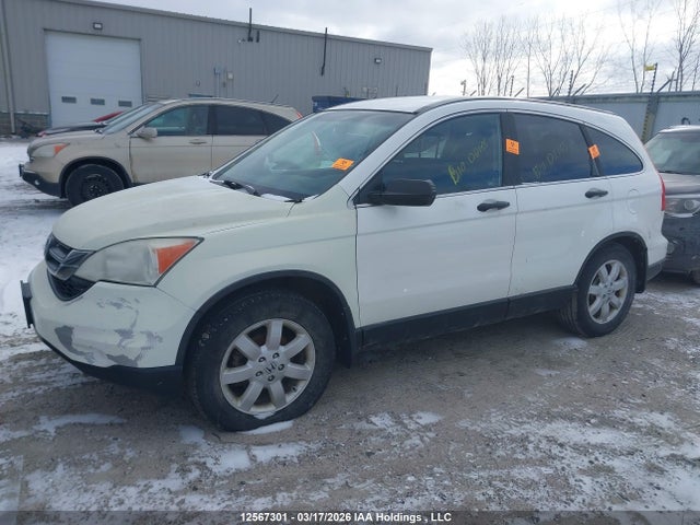Aukcja sprzedaży 2011 Honda Cr-v, vin: 5J6RE4H37BL807142, numer aukcji: 12567301