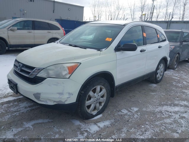 Aukcja sprzedaży 2011 Honda Cr-v, vin: 5J6RE4H37BL807142, numer aukcji: 12567301