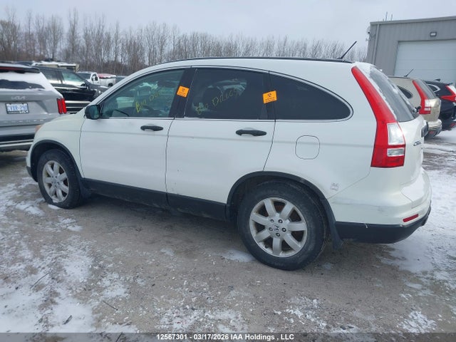 Aukcja sprzedaży 2011 Honda Cr-v, vin: 5J6RE4H37BL807142, numer aukcji: 12567301