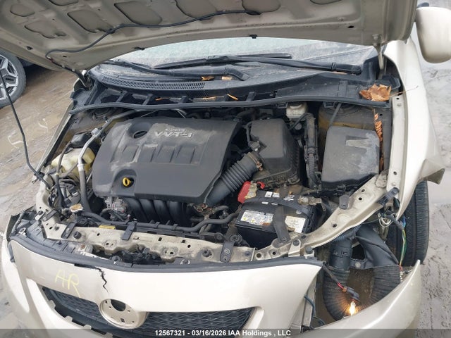 12567321 :رقم المزاد ، 2T1BU4EE6AC280202 vin ، 2010 Toyota Corolla Le مزاد بيع