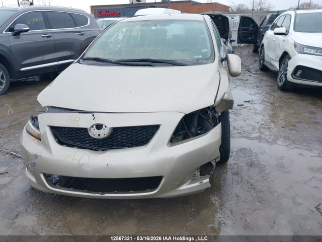 12567321 :رقم المزاد ، 2T1BU4EE6AC280202 vin ، 2010 Toyota Corolla Le مزاد بيع