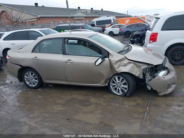 12567321 :رقم المزاد ، 2T1BU4EE6AC280202 vin ، 2010 Toyota Corolla Le مزاد بيع