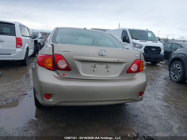 12567321 :رقم المزاد ، 2T1BU4EE6AC280202 vin ، 2010 Toyota Corolla Le مزاد بيع