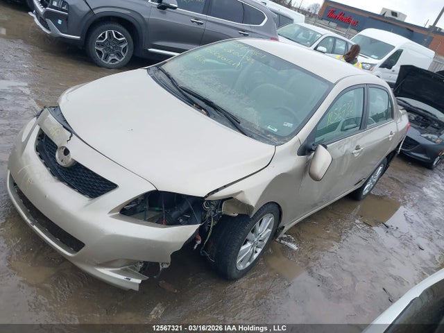 12567321 :رقم المزاد ، 2T1BU4EE6AC280202 vin ، 2010 Toyota Corolla Le مزاد بيع