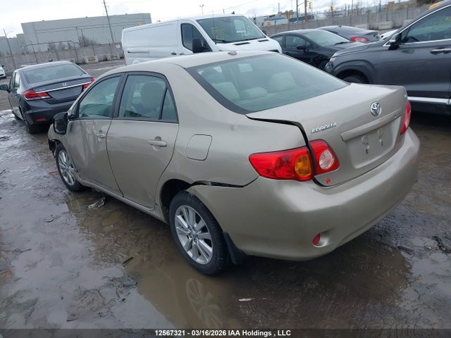 12567321 :رقم المزاد ، 2T1BU4EE6AC280202 vin ، 2010 Toyota Corolla Le مزاد بيع