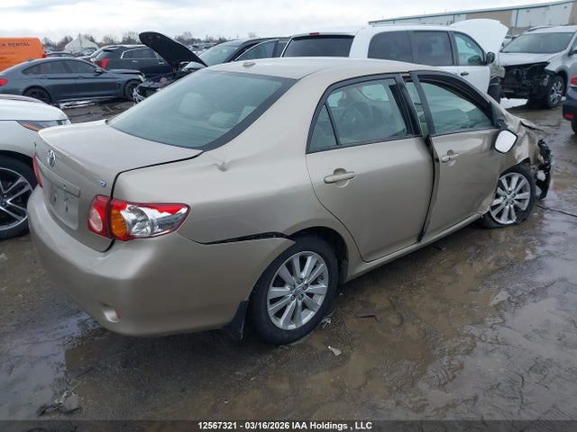 12567321 :رقم المزاد ، 2T1BU4EE6AC280202 vin ، 2010 Toyota Corolla Le مزاد بيع
