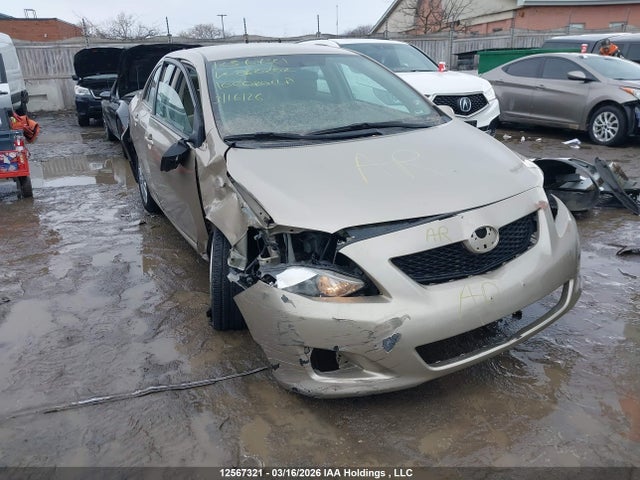 12567321 :رقم المزاد ، 2T1BU4EE6AC280202 vin ، 2010 Toyota Corolla Le مزاد بيع