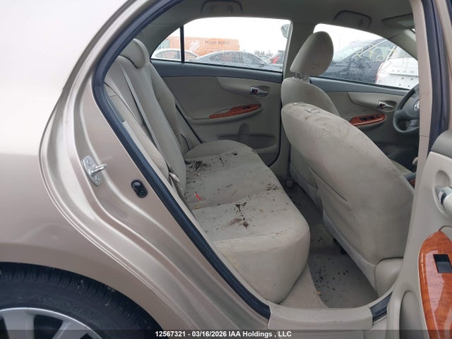 12567321 :رقم المزاد ، 2T1BU4EE6AC280202 vin ، 2010 Toyota Corolla Le مزاد بيع