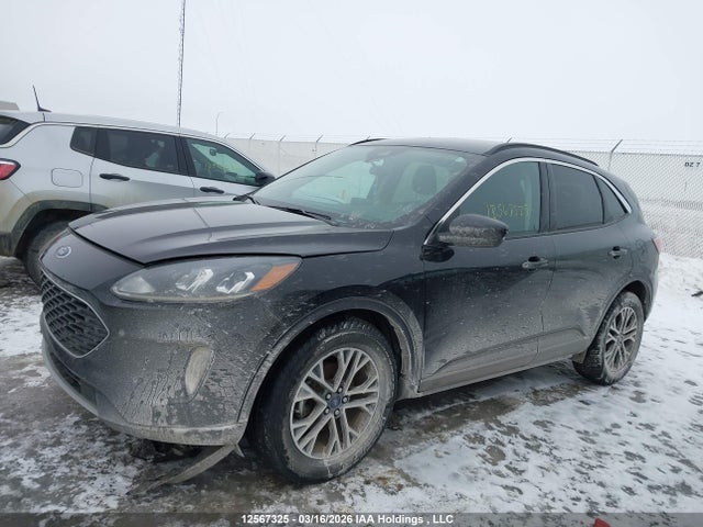 1FMCU9H67LUB51683 Ford ESCAPE SEL