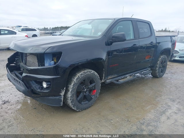 1GCGTCEN4J1174239 Chevrolet Colorado Lt
