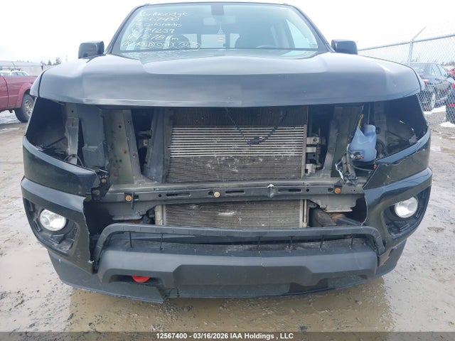 1GCGTCEN4J1174239 Chevrolet Colorado Lt