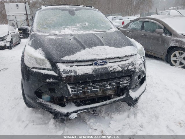 12567423 :رقم المزاد ، 1FMCU9H93DUC27394 vin ، 2013 Ford Escape Sel مزاد بيع
