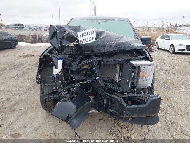 Aukcja sprzedaży 2023 Ford F150 Supercrew, vin: 1FTEW1EP6PKD19238, numer aukcji: 12567451