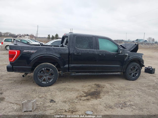 Aukcja sprzedaży 2023 Ford F150 Supercrew, vin: 1FTEW1EP6PKD19238, numer aukcji: 12567451
