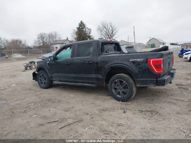 Aukcja sprzedaży 2023 Ford F150 Supercrew, vin: 1FTEW1EP6PKD19238, numer aukcji: 12567451