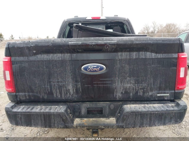 Aukcja sprzedaży 2023 Ford F150 Supercrew, vin: 1FTEW1EP6PKD19238, numer aukcji: 12567451