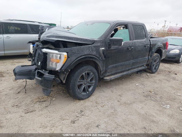Aukcja sprzedaży 2023 Ford F150 Supercrew, vin: 1FTEW1EP6PKD19238, numer aukcji: 12567451