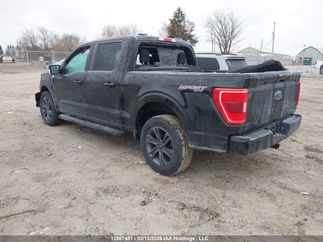 Aukcja sprzedaży 2023 Ford F150 Supercrew, vin: 1FTEW1EP6PKD19238, numer aukcji: 12567451