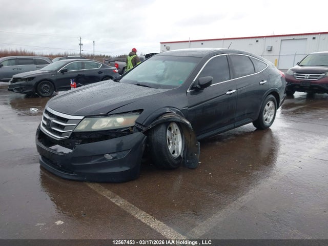 Продаж на аукціоні авто 2010 Honda Accord Crosstour Ex-l, vin: 5J6TF2H54AL801788, номер лоту: 12567453