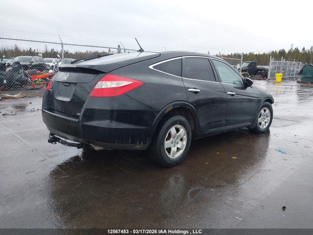 Продаж на аукціоні авто 2010 Honda Accord Crosstour Ex-l, vin: 5J6TF2H54AL801788, номер лоту: 12567453