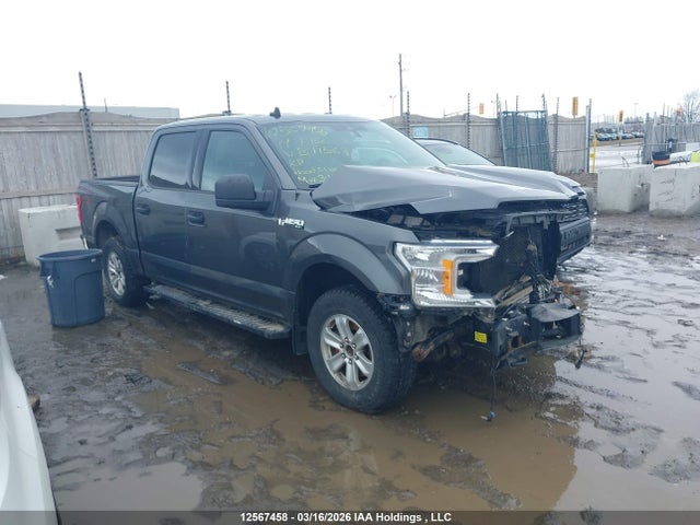 Ford F150 Supercrew 2019 1FTEW1EP8KFB71563 Image 13