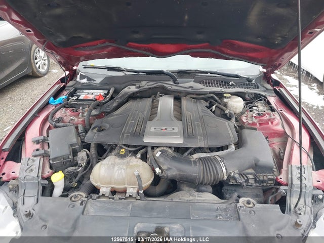 Продажа на аукционе авто 2019 Ford Mustang Gt, vin: 1FA6P8CF0K5177311, номер лота: 12567515