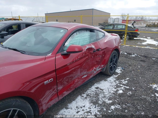 Продажа на аукционе авто 2019 Ford Mustang Gt, vin: 1FA6P8CF0K5177311, номер лота: 12567515