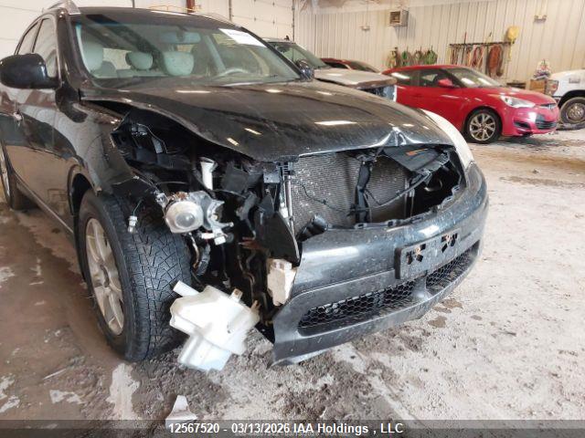 Auction sale of the 2008 Infiniti Ex35 Journey, vin: JNKAJ09F28M356686, lot number: 12567520