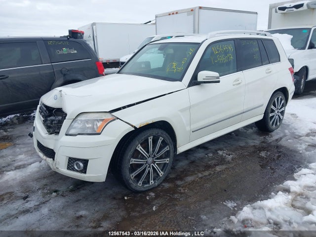 12567543 :رقم المزاد ، WDCGG8HB6BF535097 vin ، 2011 Mercedes-benz Glk 350 4matic مزاد بيع