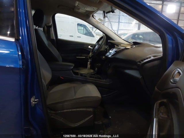 Aukcja sprzedaży 2017 Ford Escape, vin: 1FMCU0GD9HUD88789, numer aukcji: 12567558