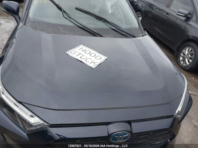 2T3RWRFV1PW158866 Toyota Rav4 Xle/woodland Edition