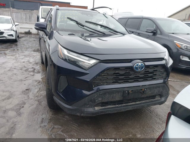 2T3RWRFV1PW158866 Toyota Rav4 Xle/woodland Edition