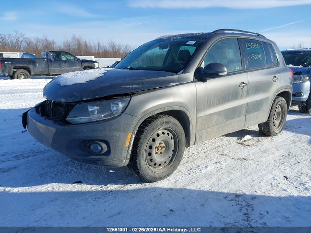 WVGHV7AX3FW501491 Volkswagen Tiguan Comfortline/trendline