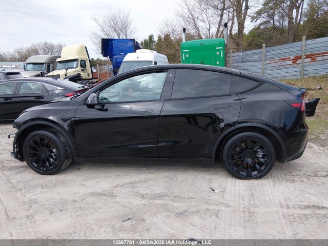 5YJYGAED8MF135377 Tesla Model Y Performance/standard Range