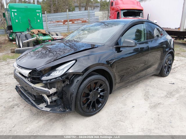 5YJYGAED8MF135377 Tesla Model Y Performance/standard Range