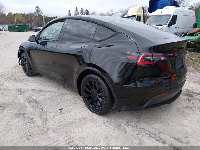 5YJYGAED8MF135377 Tesla Model Y Performance/standard Range
