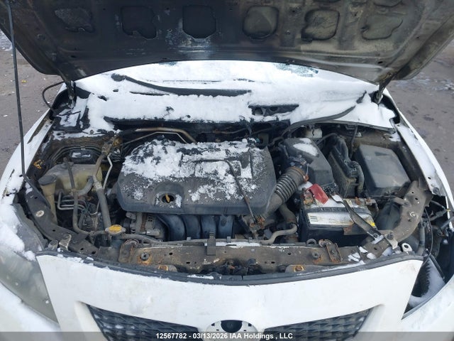 12567782 :رقم المزاد ، 2T1BU4EEXAC370288 vin ، 2010 Toyota Corolla S/le/xle مزاد بيع